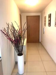 Oasis @ Elias (D18), Condominium #568659561
